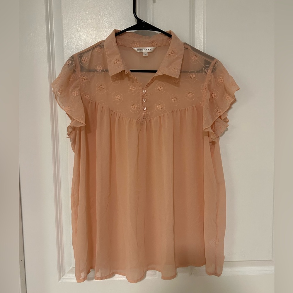 DownEast Peach Sheer Blouse with Ruffle Sleeves